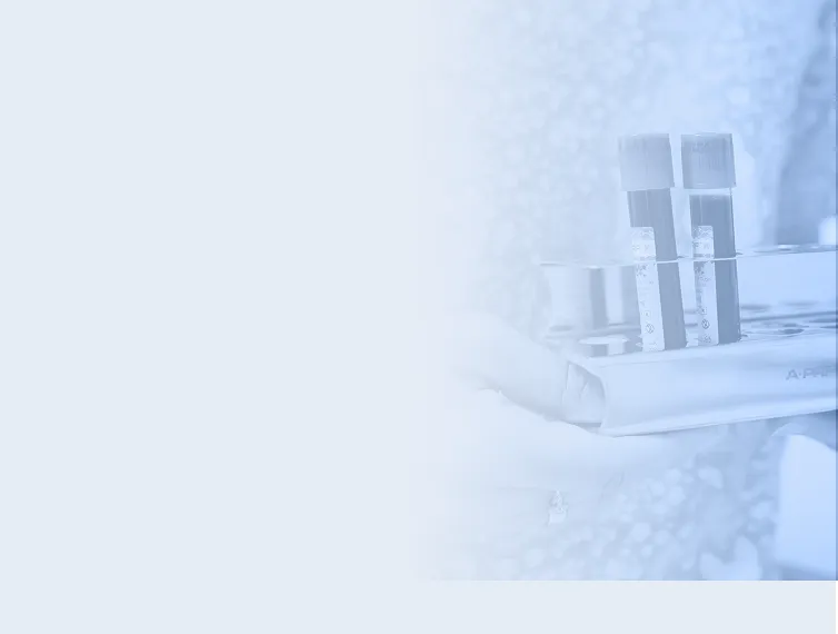 Сертифікат